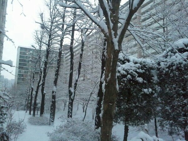 sinhwa2000's tweet photo. 서울 눈이 16.5 cm 내렸네요. 한 겨울 됐습니다. http://t.co/9qOC22aq