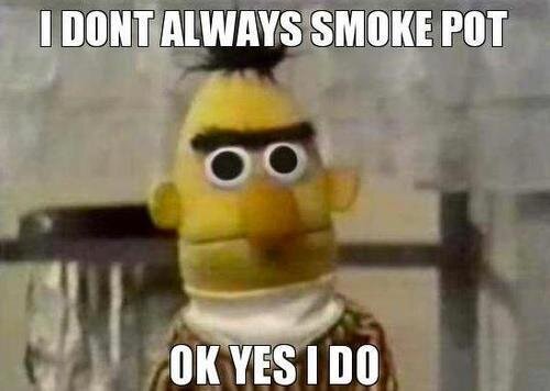 ChronicVision's tweet image. Oh Bert!