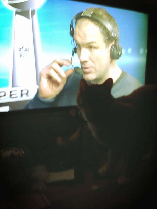 Fleabag1Tracey's tweet photo. Watching #SuperBowl47 http://t.co/4K3uwTqF