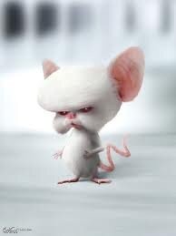 LifeFormCartoon's tweet photo. Brain from Pinky and the Brain #Brain #RealLifeCartoon #Follow http://t.co/Sdy4HkZg