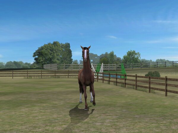 SamsonSesan tweet picture