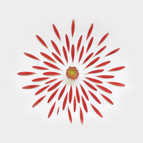 Lux Archive tweet media