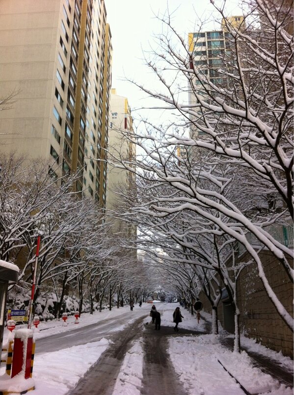 mimong2's tweet photo. 입춘에 눈꽃이 폈다. 
센스돋는 아침. http://t.co/4ZJogRbD