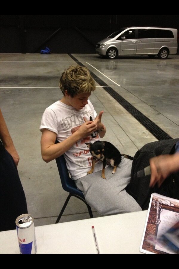 Link permanente da imagem incorporada