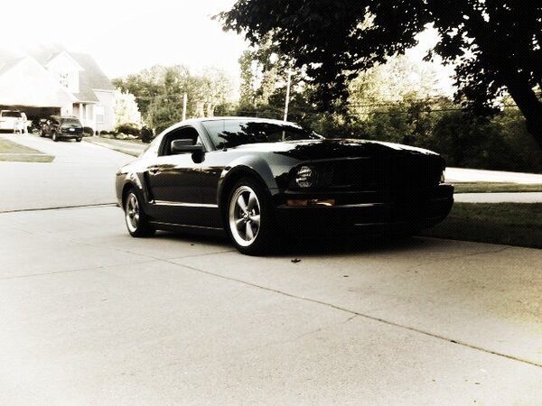 ProjectxStance's tweet image. @anthonywilkersons clean mustang