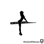 Photo by StormLockPicks.com (@StormLockPicks)