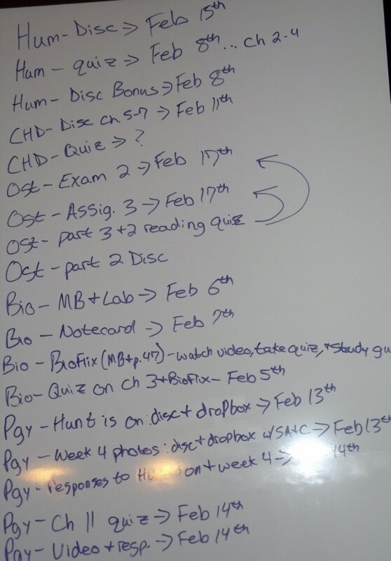 RachelLee074's tweet image. This is why I have no life. The list of the next things due for each class. #NFCCwork #5classes #GraduationInMay