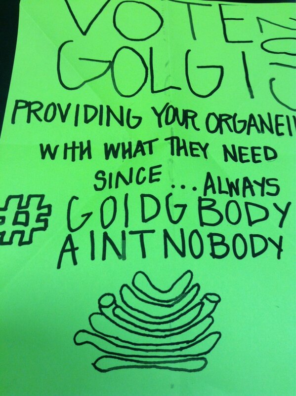 Centriole_u_kno's tweet photo. LOL @Yaboygolgibody cant even spel tha name Golgi u kno? #golgiaintanybody http://t.co/vATxBqgr