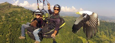 KarmaFlights's tweet photo. Scott Mason &amp; satisified customer experience magic of flight with a local! If you had good Karma, would you be a bird? http://t.co/mVOlfgu0