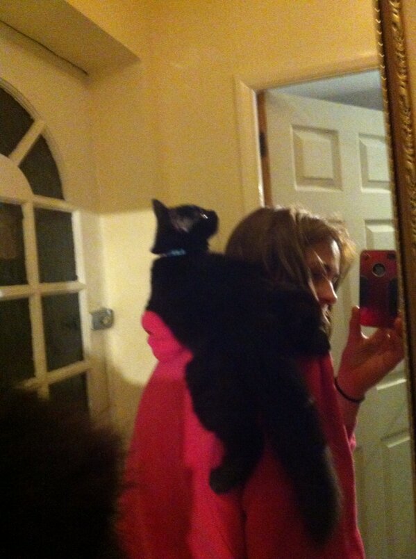 RunningHealthy_'s tweet image. #backslip LOL this is not ok