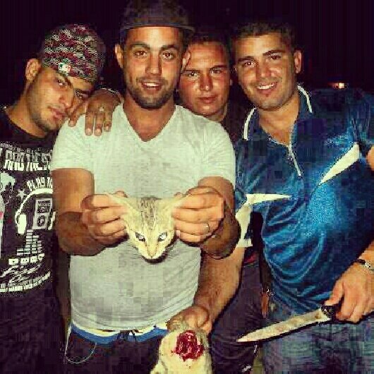 smurf212415's tweet photo. how are these ppl still alive fine them and kill who ever did this to that  poor cat:-:-( http://t.co/I3kzCnWk