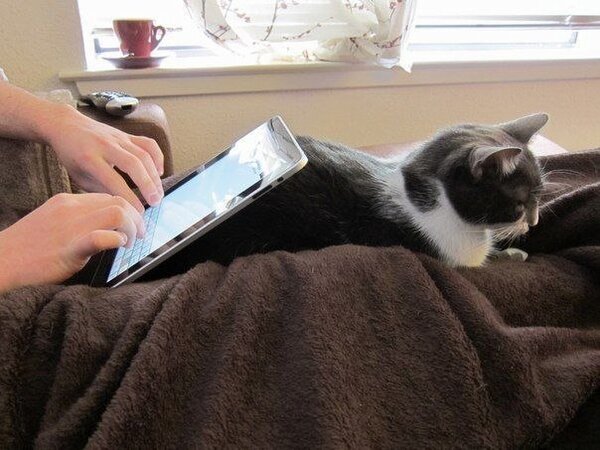 crazy_kutas's tweet photo. iCat – подставка под iPad. http://t.co/l89YuA3r