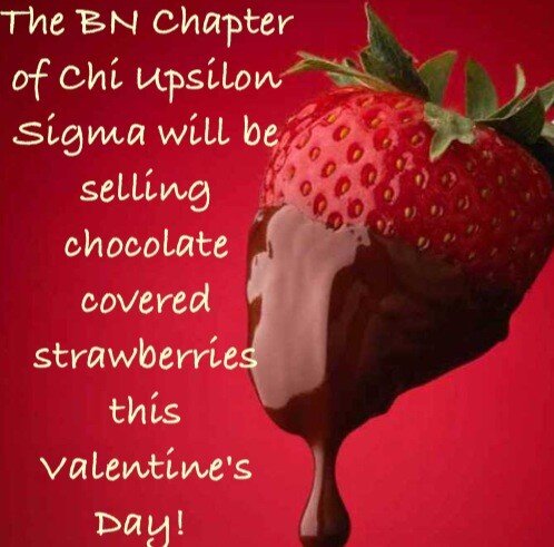 CUS_BETA_NU's tweet photo. Please contact any sister of the Beta Nu chapter ! @MariolyP @nakiafierce or @tethnaru4 for pre orders http://t.co/wmo6elqX