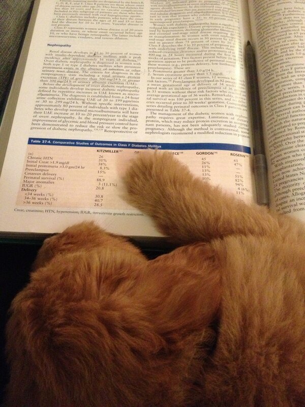CKellsMD's tweet photo. Studying makes me feel this way too http://t.co/lizAQQvo