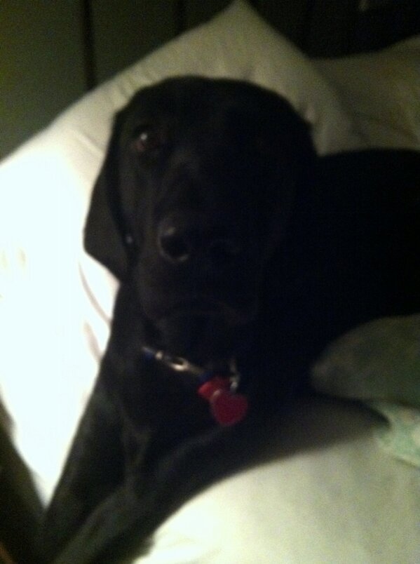 debfrederic's tweet image. Ready for bed!!!