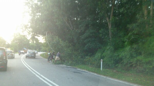 RELA_phuluslgor's tweet photo. pokok terbalik dalam perjalanan nak ke pejabat di jalan kuala kubu pagi tadi @ezmanSL @RELA_SELANGOR @ http://t.co/v9Rdt88E