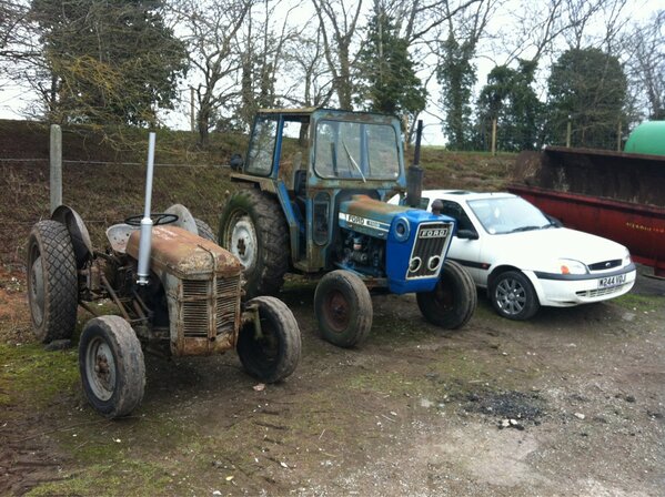 Wright Marshall tweet media