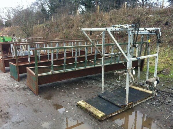 Wright Marshall tweet media