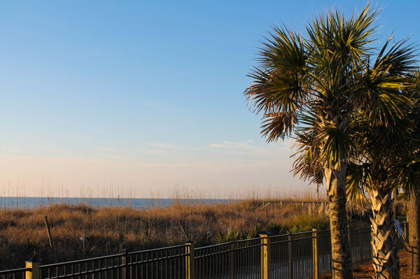 MyMyrtleBeach tweet picture