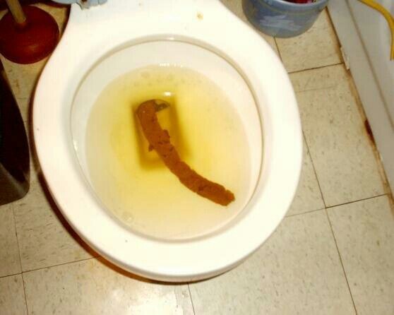 Matt lakin tweet media