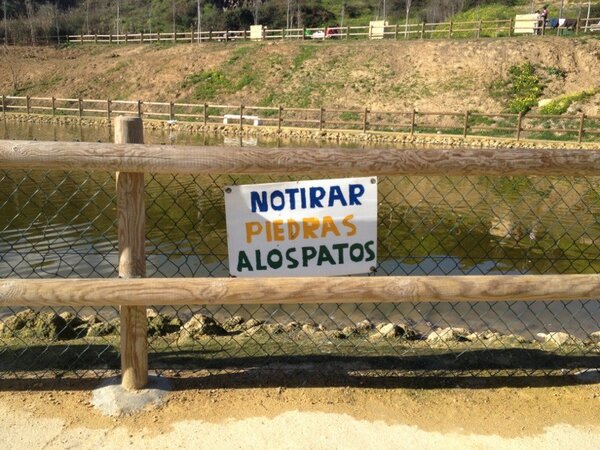 Iñigo Soto tweet media