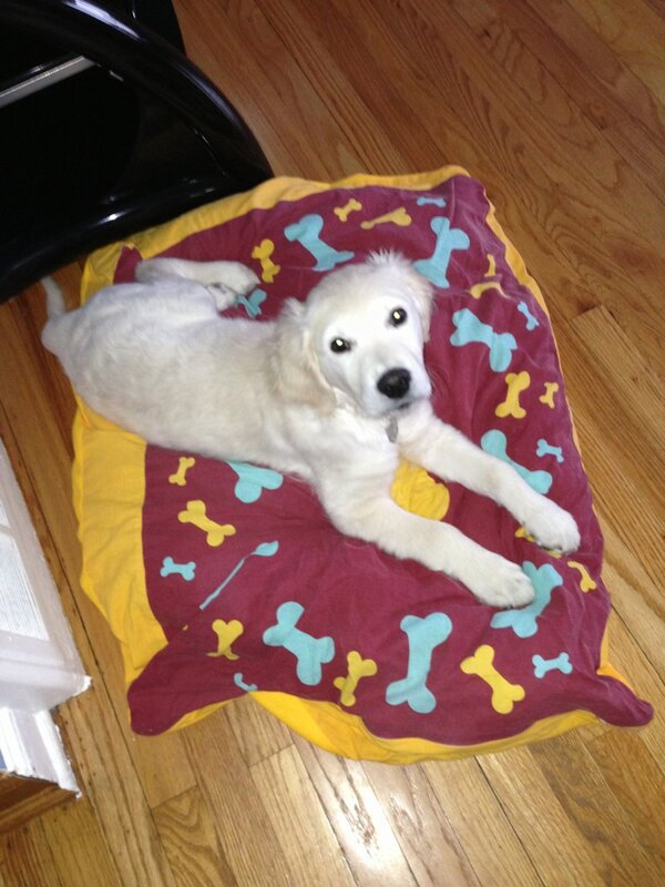 OldRustyFork's tweet image. @lets__undrJESS don't be. Their awful #ItsTrap