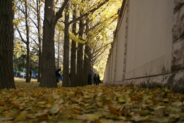 不容易，终于回来了！