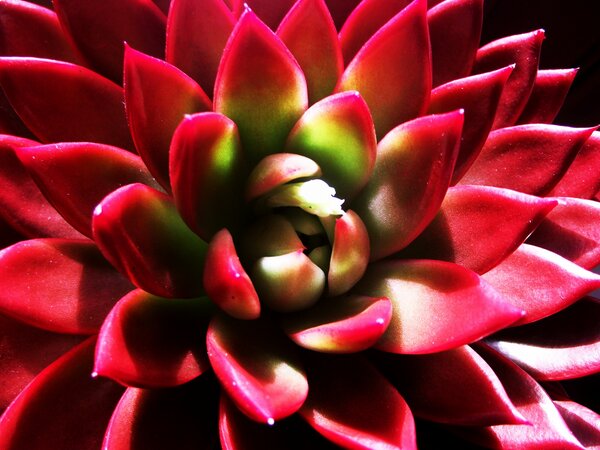 LatinEly93's tweet photo. http://t.co/A85Byitp