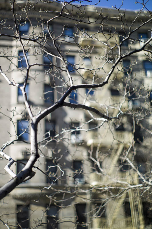 laurentburst's tweet photo. Structure on Broadway III.
by Laurent Burst
Direct-Link to the Online-Gallery: 
http://t.co/X1l5ifbY http://t.co/POf1najL