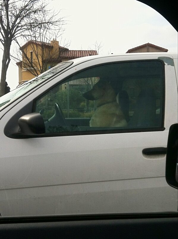 anntwan11's tweet image. First time driving on his own #newlylicensed