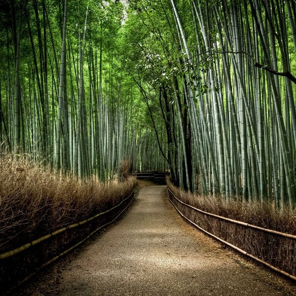 TheAverageWorld tweet picture