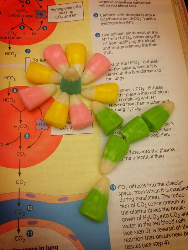 mvora148's tweet image. I&apos;m way too tired #candycorn #flower #quietstudy