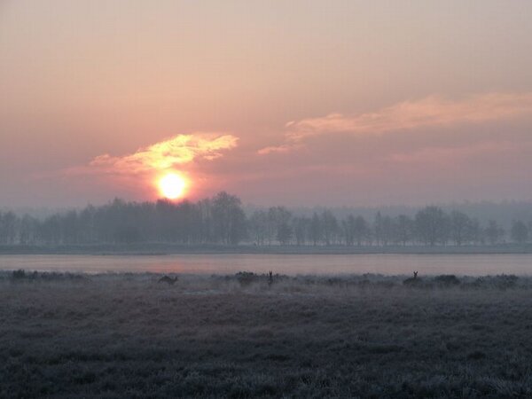 Hoe mooi kan de dag beginnen, drie reeën rennen door de zonsopkomst bij het Elpermeer in Hart van Drenthe.