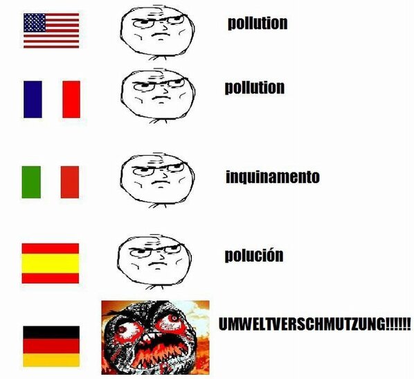 french words vs german words in english french words vs german words in english
