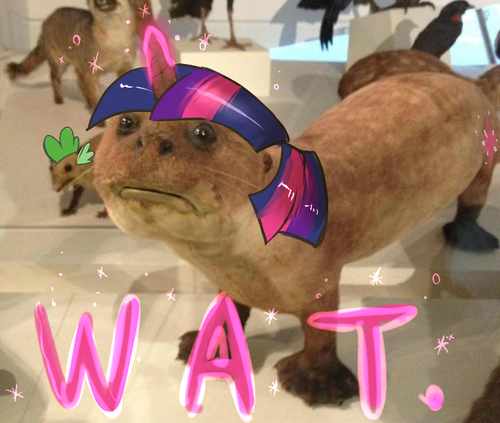 PlleaseExplain tweet picture