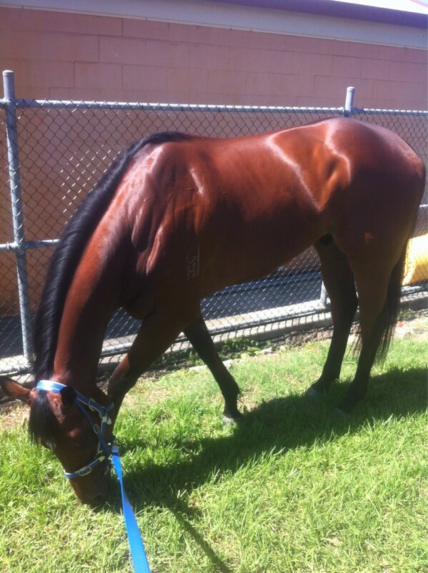 Trent Edmonds tweet media