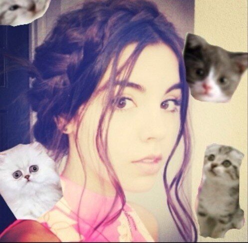 Cat Invasion :3 MEOW.