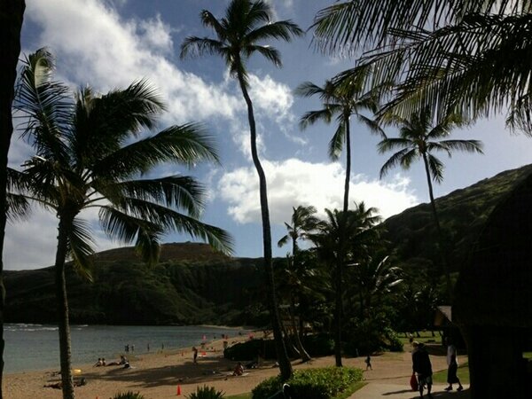 tiffanyraybion1's tweet image. "@tiffanyraybion: lh4.googleusercontent.com/-7PfvxOLnNcI/U…
lh4.googleusercontent.com/-_1aXwfvzmKQ/U… http://t.co/GhekFFdPJ1"