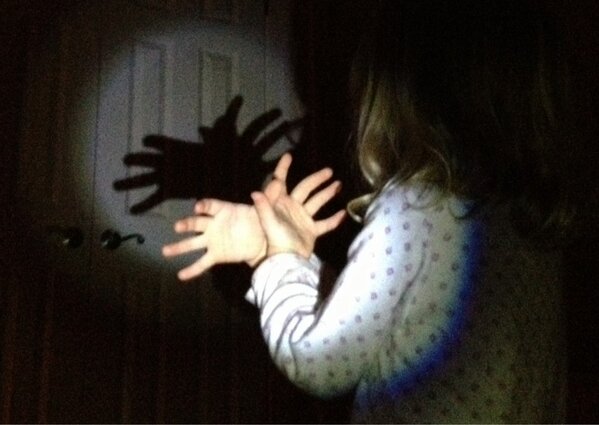 HaveADaughter's tweet image. Who said #spiderbirds aren't real?  Well, they are in our house!  #proudpapa