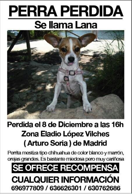 vero_rayo's tweet photo. http://t.co/9QW7Zj9Isz la seguimos buscando...ayúdanos!!!