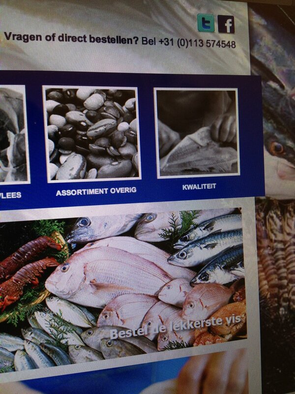 VishandelGB's tweet photo. Sneak preview van de website! Benieuwd...? Wij laten u weten wanneer de website online is! http://t.co/dfDiet9M