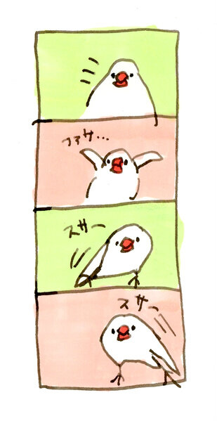文鳥のマンガを描いてみた。 