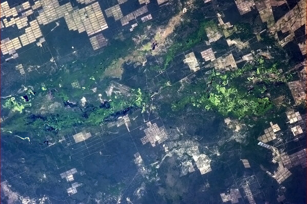 The startling verdant green of this swamp in Paraguay caught my eye from my perch a million feet up.