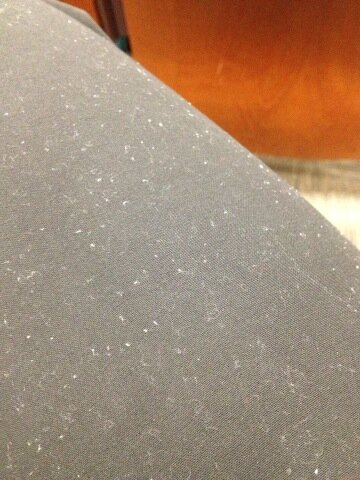 alisonbrantley's tweet image. So apparently I rubbed up against something white &amp;amp; fuzzy... On my black pants. #LookingProfessional #OrNot