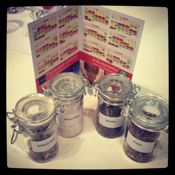 Anne Roque tweet media