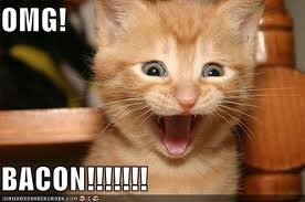 meganharrisonD's tweet photo. LOL  omg BACON http://t.co/K2F4zQ6l