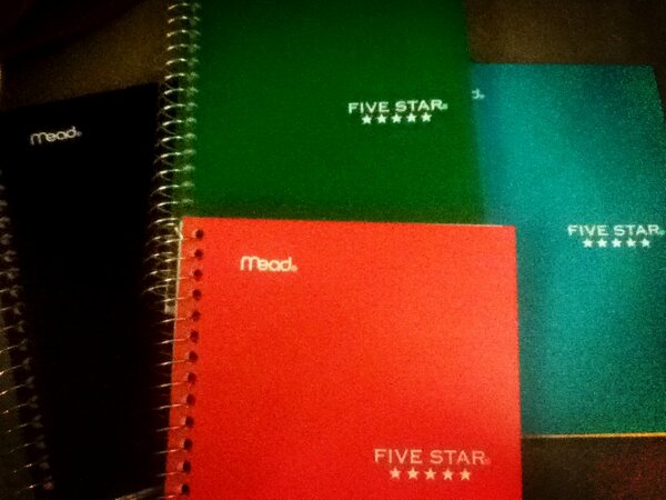 Lesliee_94's tweet image. One for every class, I thought they were cute ☺📒 #MiniNotebooks #FiveStar