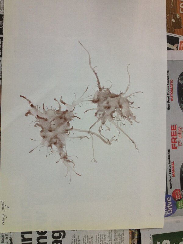SamiRovtar's tweet photo. Ink droplet art. I see a variety of images here. What do you see? #visarts13 #ink http://t.co/LBuIrLIg