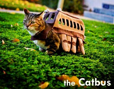 SamiGirl4ever's tweet photo. @Clairez_love .....this is for you #Totoro #TheCatBus http://t.co/vehs7btR