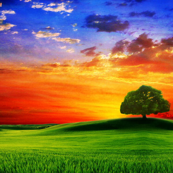 ciriaco's tweet photo. Hola  alvar http://t.co/7jNNIpzY
